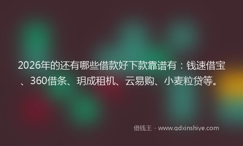 2026年的还有哪些借款好下款靠谱有：钱速借宝、360借条、玥成租机、云易购、小麦粒贷等。