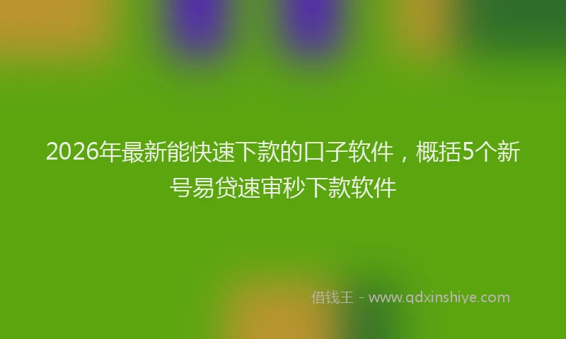 2026年最新能快速下款的口子软件，概括5个新号易贷速审秒下款软件