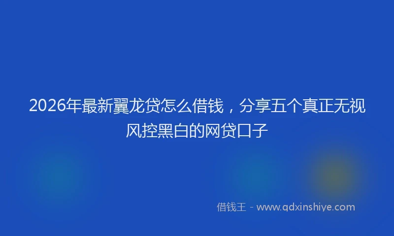 2026年最新翼龙贷怎么借钱，分享五个真正无视风控黑白的网贷口子