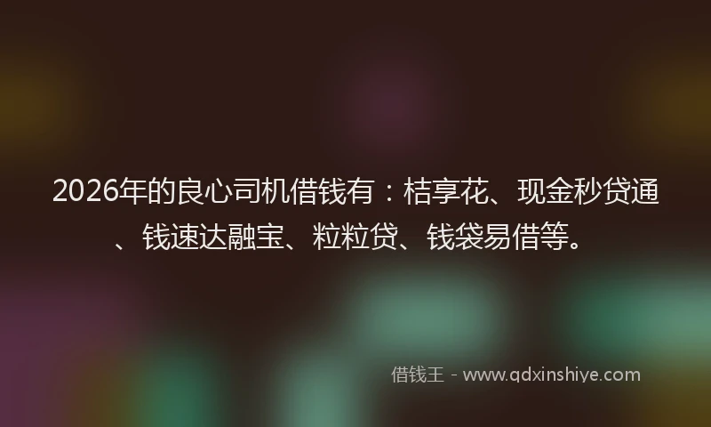 2026年的良心司机借钱有：桔享花、现金秒贷通、钱速达融宝、粒粒贷、钱袋易借等。