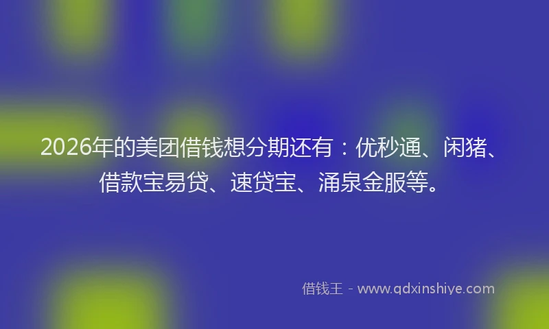 2026年的美团借钱想分期还有：优秒通、闲猪、借款宝易贷、速贷宝、涌泉金服等。