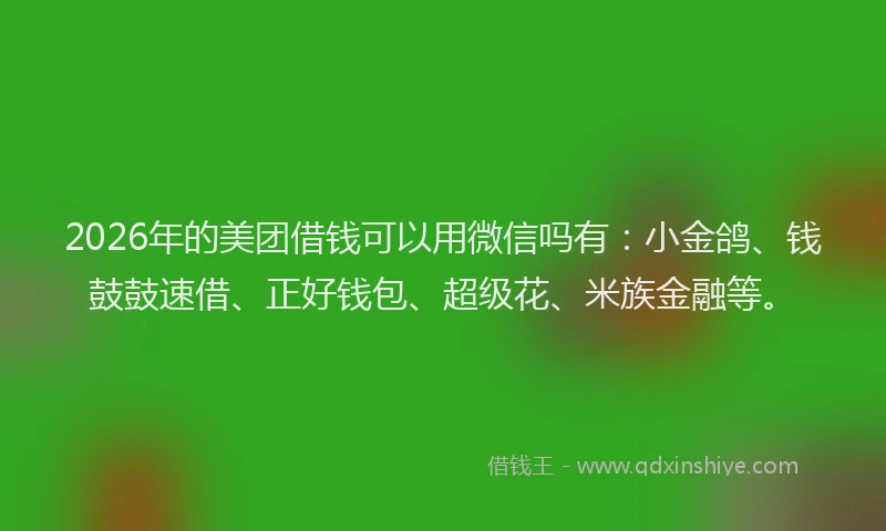 2026年的美团借钱可以用微信吗有：小金鸽、钱鼓鼓速借、正好钱包、超级花、米族金融等。