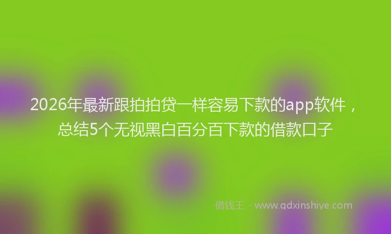 2026年最新跟拍拍贷一样容易下款的app软件，总结5个无视黑白百分百下款的借款口子