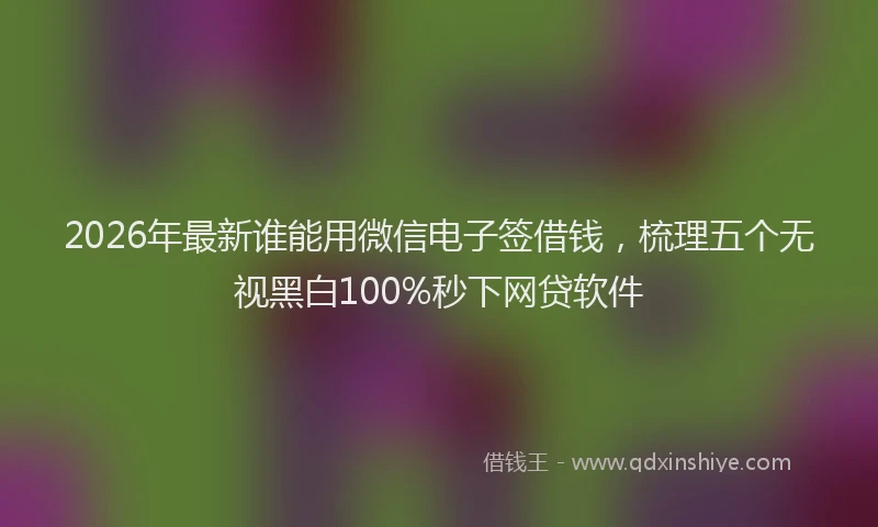 2026年最新谁能用微信电子签借钱，梳理五个无视黑白100%秒下网贷软件