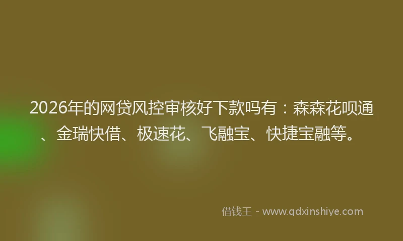 2026年的网贷风控审核好下款吗有：森森花呗通、金瑞快借、极速花、飞融宝、快捷宝融等。
