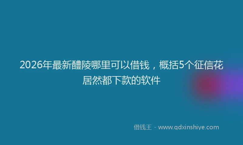 2026年最新醴陵哪里可以借钱，概括5个征信花居然都下款的软件