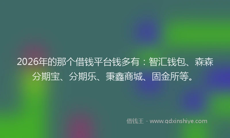 2026年的那个借钱平台钱多有：智汇钱包、森森分期宝、分期乐、秉鑫商城、固金所等。