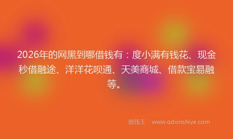 2026年的网黑到哪借钱有：度小满有钱花、现金秒借融途、洋洋花呗通、天美商城、借款宝易融等。