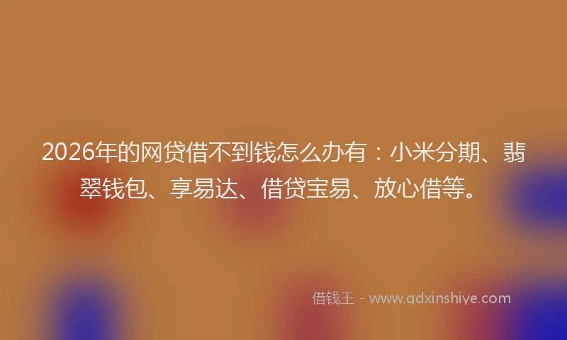 2026年的网贷借不到钱怎么办有：小米分期、翡翠钱包、享易达、借贷宝易、放心借等。