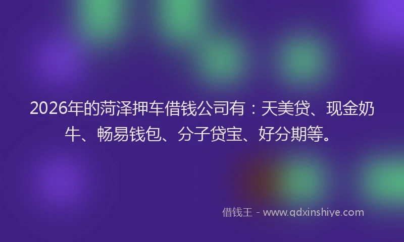 2026年的菏泽押车借钱公司有：天美贷、现金奶牛、畅易钱包、分子贷宝、好分期等。