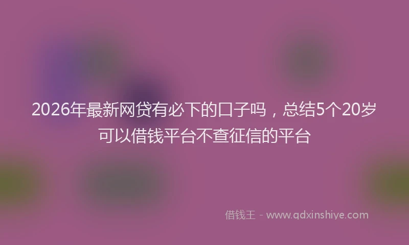 2026年最新网贷有必下的口子吗，总结5个20岁可以借钱平台不查征信的平台