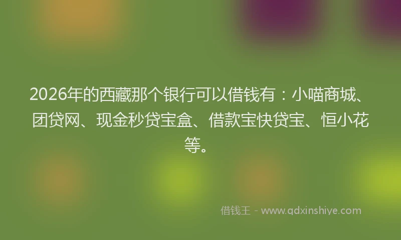 2026年的西藏那个银行可以借钱有：小喵商城、团贷网、现金秒贷宝盒、借款宝快贷宝、恒小花等。
