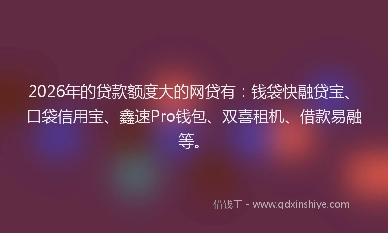 2026年的贷款额度大的网贷有：钱袋快融贷宝、口袋信用宝、鑫速Pro钱包、双喜租机、借款易融等。