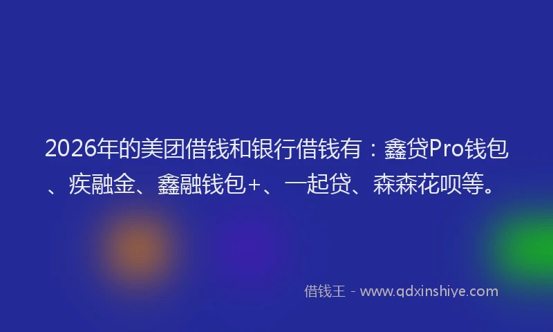 2026年的美团借钱和银行借钱有：鑫贷Pro钱包、疾融金、鑫融钱包+、一起贷、森森花呗等。