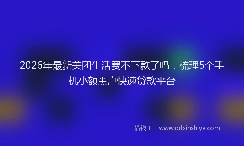 2026年最新美团生活费不下款了吗，梳理5个手机小额黑户快速贷款平台