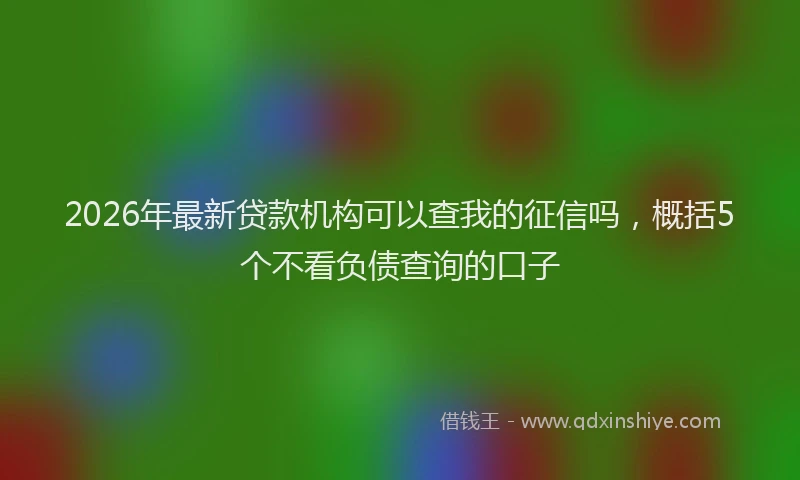 2026年最新贷款机构可以查我的征信吗，概括5个不看负债查询的口子