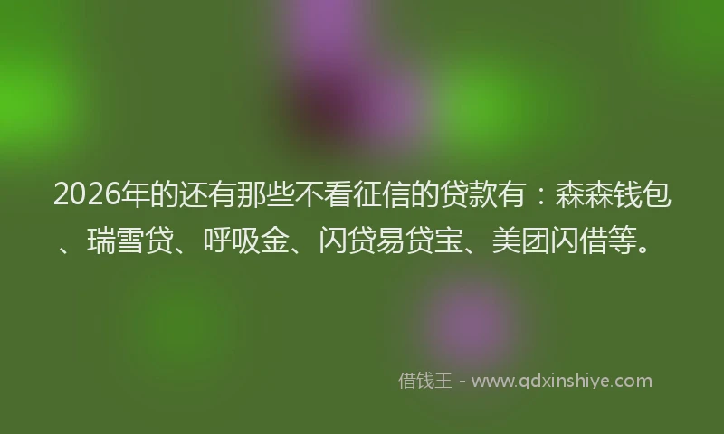 2026年的还有那些不看征信的贷款有：森森钱包、瑞雪贷、呼吸金、闪贷易贷宝、美团闪借等。
