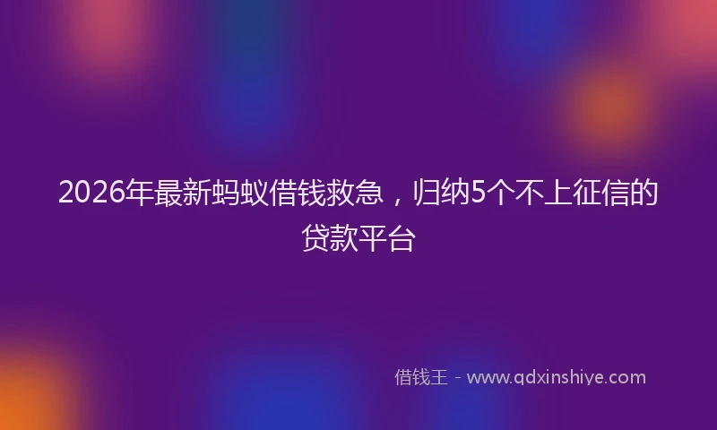 2026年最新蚂蚁借钱救急，归纳5个不上征信的贷款平台