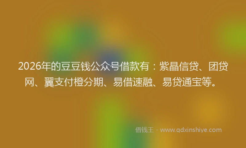 2026年的豆豆钱公众号借款有：紫晶信贷、团贷网、翼支付橙分期、易借速融、易贷通宝等。