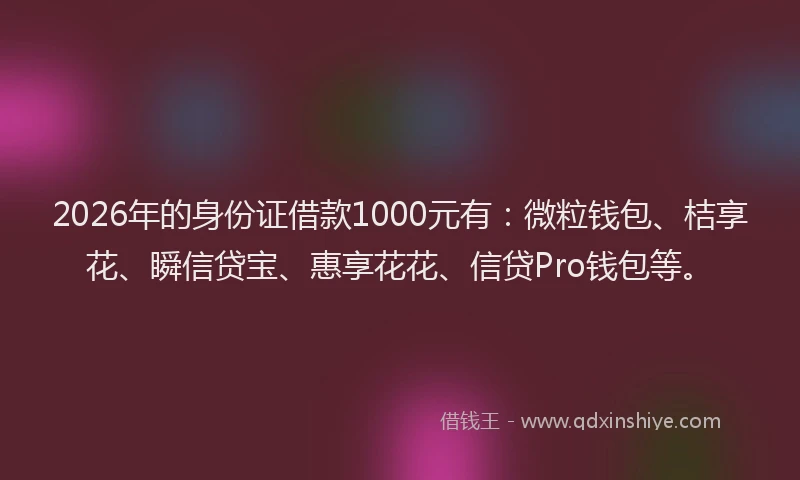 2026年的身份证借款1000元有：微粒钱包、桔享花、瞬信贷宝、惠享花花、信贷Pro钱包等。