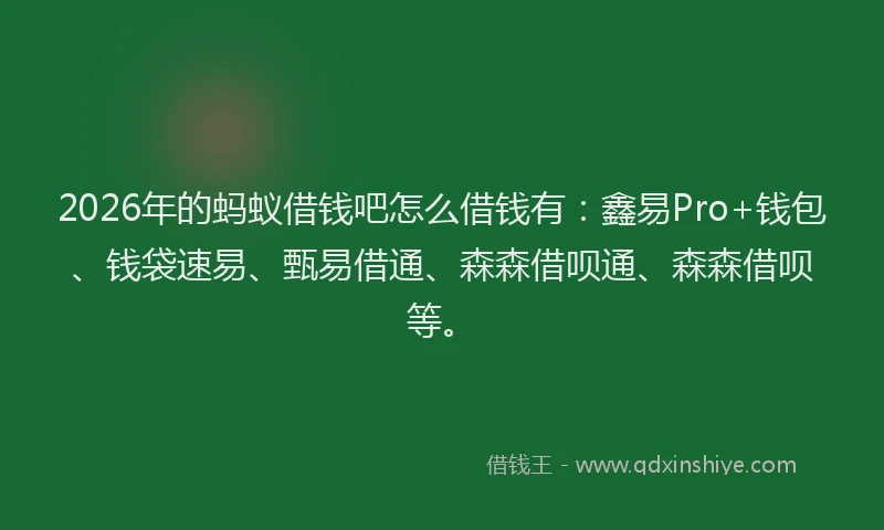2026年的蚂蚁借钱吧怎么借钱有：鑫易Pro+钱包、钱袋速易、甄易借通、森森借呗通、森森借呗等。