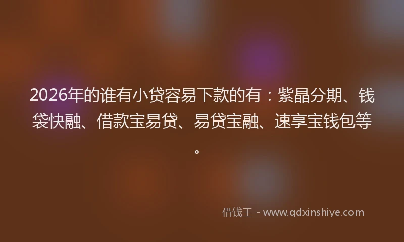 2026年的谁有小贷容易下款的有：紫晶分期、钱袋快融、借款宝易贷、易贷宝融、速享宝钱包等。