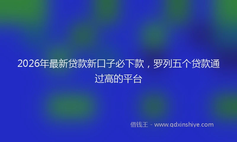2026年最新贷款新口子必下款，罗列五个贷款通过高的平台
