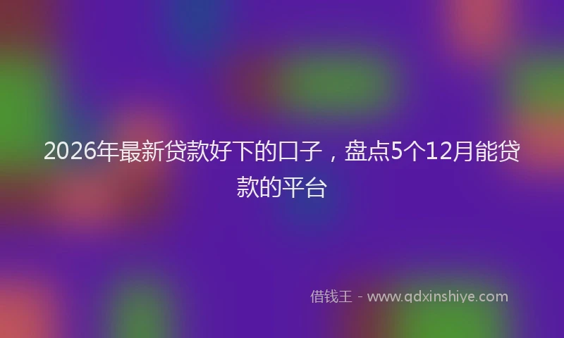 2026年最新贷款好下的口子，盘点5个12月能贷款的平台