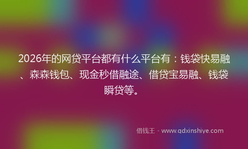 2026年的网贷平台都有什么平台有：钱袋快易融、森森钱包、现金秒借融途、借贷宝易融、钱袋瞬贷等。