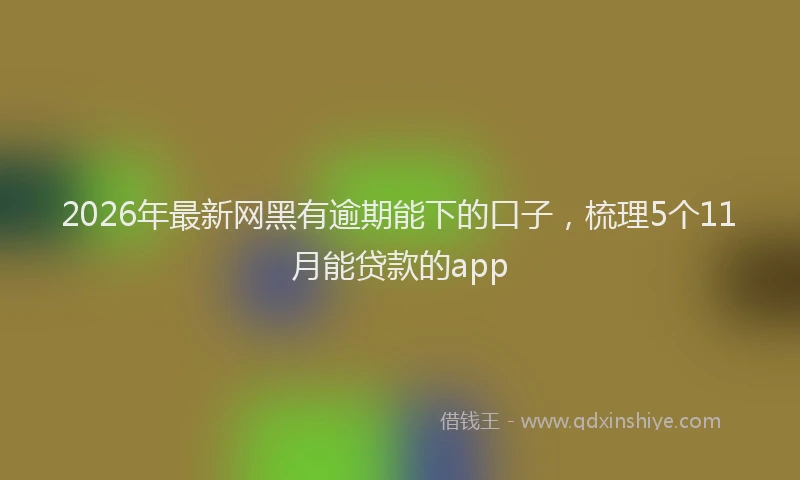2026年最新网黑有逾期能下的口子，梳理5个11月能贷款的app