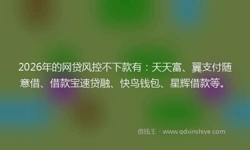 2026年的网贷风控不下款有：天天富、翼支付随意借、借款宝速贷融、快鸟钱包、星辉借款等。