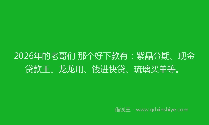2026年的老哥们 那个好下款有：紫晶分期、现金贷款王、龙龙用、钱进快贷、琉璃买单等。