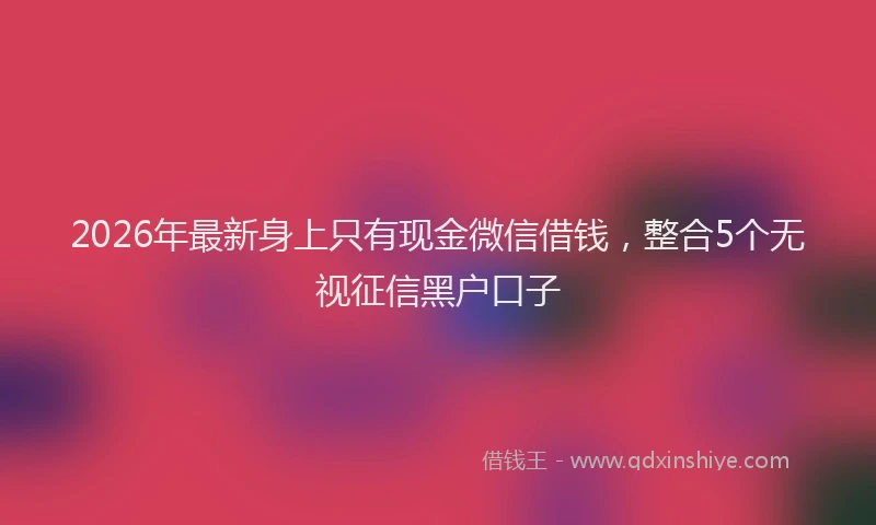 2026年最新身上只有现金微信借钱，整合5个无视征信黑户口子