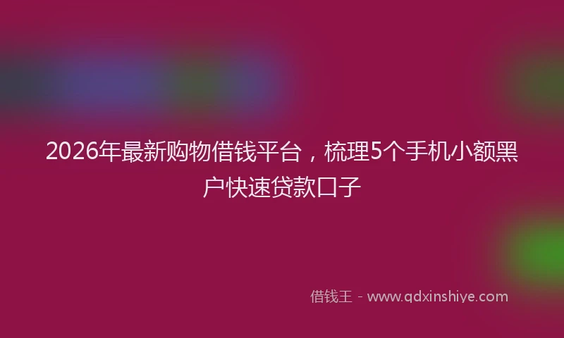 2026年最新购物借钱平台，梳理5个手机小额黑户快速贷款口子