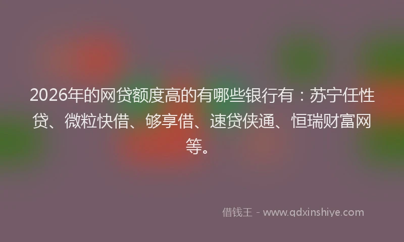 2026年的网贷额度高的有哪些银行有：苏宁任性贷、微粒快借、够享借、速贷侠通、恒瑞财富网等。