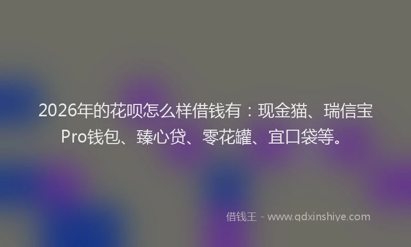 2026年的花呗怎么样借钱有：现金猫、瑞信宝Pro钱包、臻心贷、零花罐、宜口袋等。