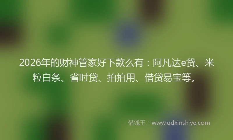2026年的财神管家好下款么有：阿凡达e贷、米粒白条、省时贷、拍拍用、借贷易宝等。