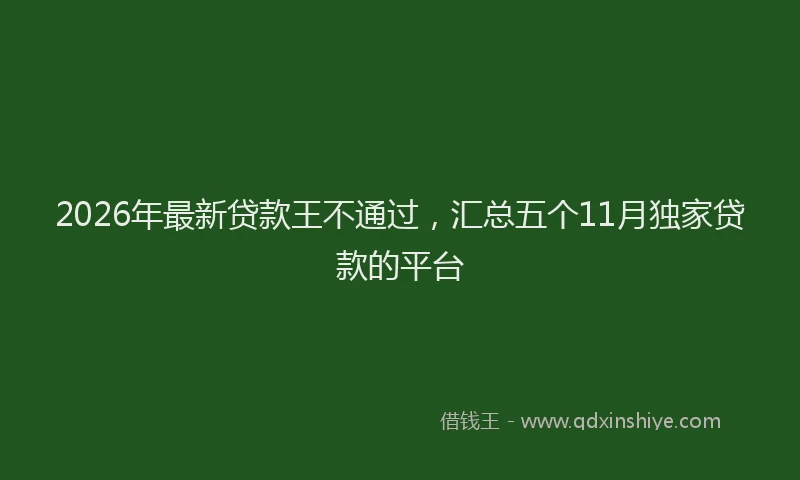 2026年最新贷款王不通过，汇总五个11月独家贷款的平台