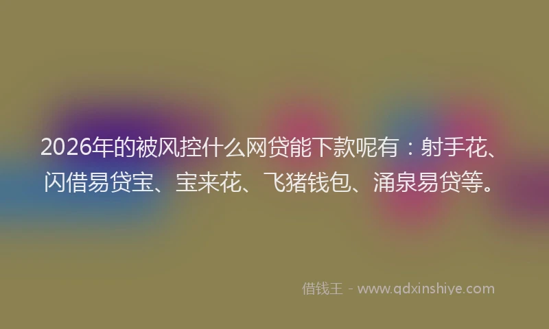 2026年的被风控什么网贷能下款呢有：射手花、闪借易贷宝、宝来花、飞猪钱包、涌泉易贷等。