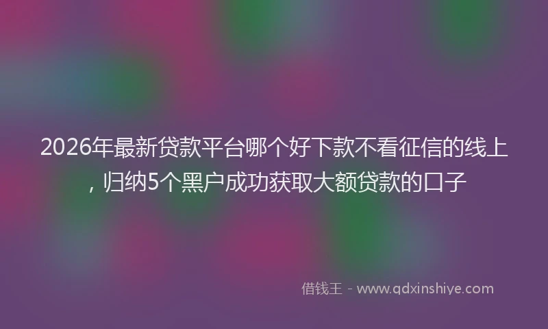 2026年最新贷款平台哪个好下款不看征信的线上，归纳5个黑户成功获取大额贷款的口子