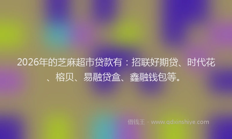 2026年的芝麻超市贷款有：招联好期贷、时代花、榕贝、易融贷盒、鑫融钱包等。