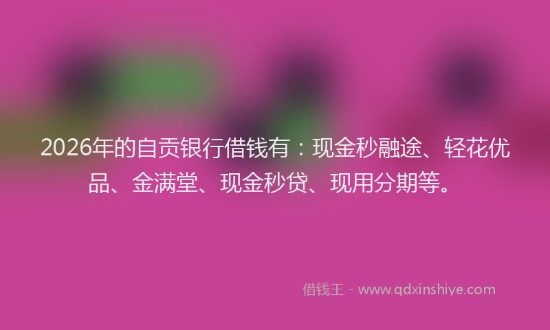 2026年的自贡银行借钱有：现金秒融途、轻花优品、金满堂、现金秒贷、现用分期等。