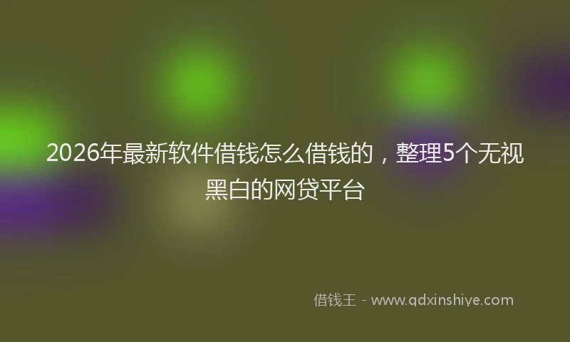 2026年最新软件借钱怎么借钱的，整理5个无视黑白的网贷平台