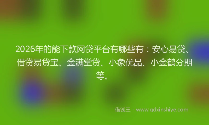 2026年的能下款网贷平台有哪些有：安心易贷、借贷易贷宝、金满堂贷、小象优品、小金鹤分期等。