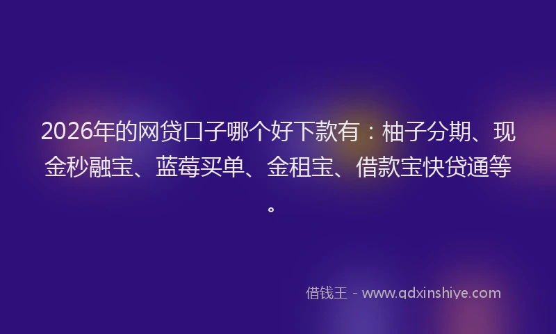 2026年的网贷口子哪个好下款有：柚子分期、现金秒融宝、蓝莓买单、金租宝、借款宝快贷通等。