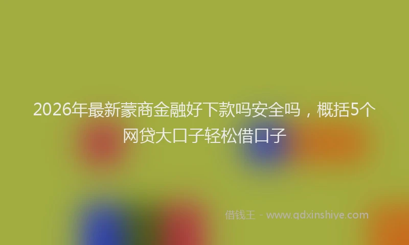 2026年最新蒙商金融好下款吗安全吗，概括5个网贷大口子轻松借口子
