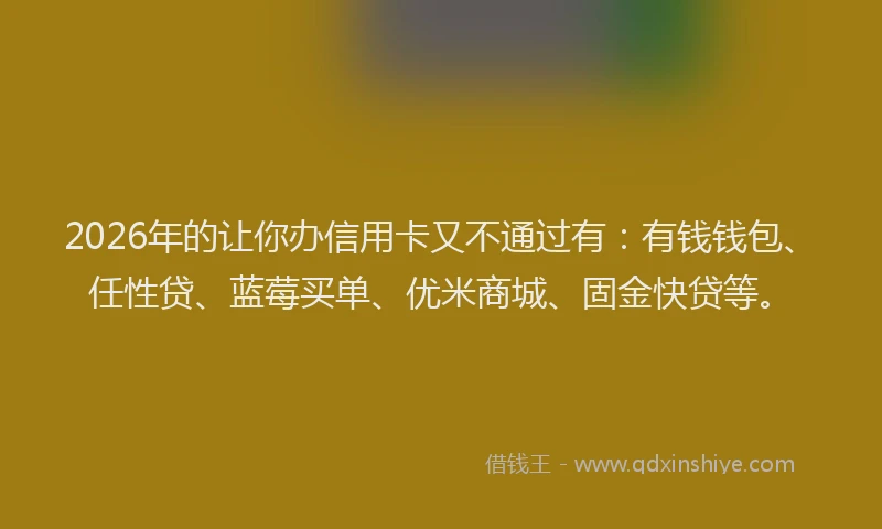 2026年的让你办信用卡又不通过有：有钱钱包、任性贷、蓝莓买单、优米商城、固金快贷等。
