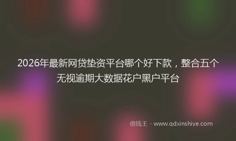 2026年最新网贷垫资平台哪个好下款，整合五个无视逾期大数据花户黑户平台