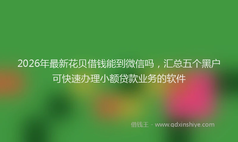 2026年最新花贝借钱能到微信吗，汇总五个黑户可快速办理小额贷款业务的软件