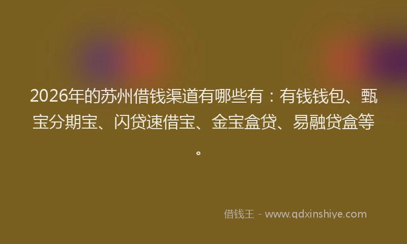 2026年的苏州借钱渠道有哪些有：有钱钱包、甄宝分期宝、闪贷速借宝、金宝盒贷、易融贷盒等。